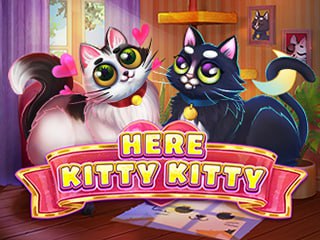 Here Kitty Kitty